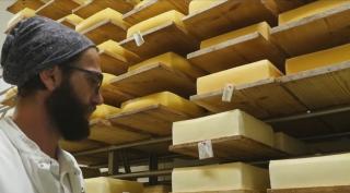 Brânzeturile maturate, afacerea cu care o familie din Alba atrage turiști