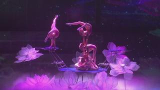 Întrecere între acrobații de top ai lumii, la Festivalul de Circ din China