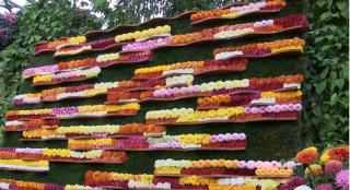 Expoziţia de flori şi seminţe de la Grădina Botanică din Iaşi, un succes total