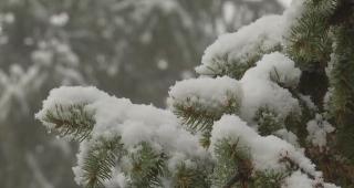 Vreme rece în toată România. La munte va continua să ningă, în timp ce în sud va ploua