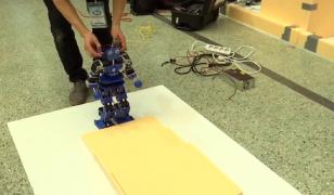 Robochallenge 2019. Cel mai mare concurs de robotică din Europa a adunat la start peste 600 de concurenţi