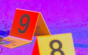 Cazul Caracal. Etapele complexe pe care le urmează experții FBI