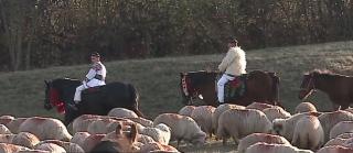 În Idicelu de Pădure, Mureş, Vara Arhanghelilor marchează coborârea ciobanilor cu oile de pe munte