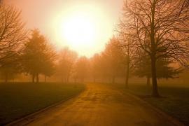 Toamna tropicală aduce temperaturi record în România