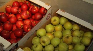 Merele ar putea fi vândute cu un anunţ îngrijorător: "Nu consumaţi coaja lor!"