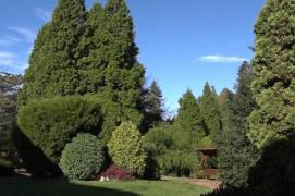 Pepiniera de la Simeria se desfiinţează după 70 de ani de existenţă