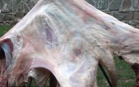 Carne de oaie preparată după reţete vechi de secole. De la stână, în restaurantele de cinci stele