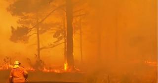 Incendiile de vegetaţie fac prăpăd în Australia (Video)