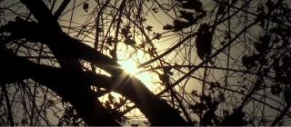 Meteorologii anunţă noi temperaturi ridicate, în ciuda ciclonului care vine dinspre centrul Europei