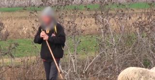 O familie din Vaslui îşi ţinea proprii copii în sclavie, la o fermă de animale