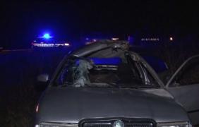 Accident în Dâmboviţa, din cauza unui porc mistreţ. Şoferul a fost grav rănit