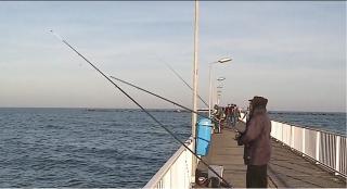 Vremea caldă prelungeşte sezonul chefalului