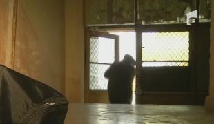 Femeile bătute și jefuite pe stradă, în Alexandria, au fost atacate în aceeași zonă