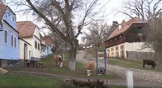 Viscri, satul care atrage turiști în orice anotimp