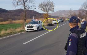 Un urs lovit de maşină, pe o şosea din Harghita, agonizează de 15 ore la locul accidentului (Video)