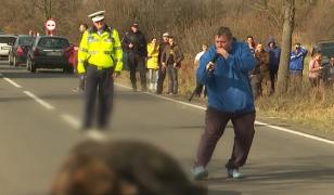 Filmul complet al agoniei ursului lovit de maşină şi împuşcat după 20 de ore, în Harghita