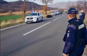 Un urs şi un mistreţ, găsiţi morţi pe o şosea din Mureş la o zi după cazul animalului lăsat în agonie