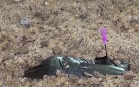 Doi copii au descoperit într-un parc din Arad muniţie din al Doilea Război Mondial