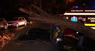 Vremea rea a pus stăpânire pe întreaga ţara! Vântul puternic a făcut ravagii