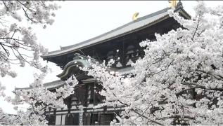 Românii au prins tot mai mult gustul vacanţelor în străinătate