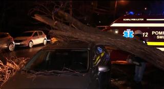 Vântul puternic, aproape să producă mai multe tragedii în sudul şi estul României (Video)