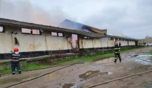 Depozit din Brăila devastat de un puternic incendiu