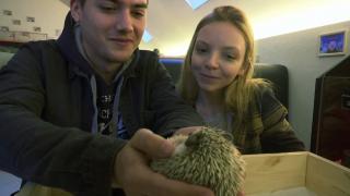 Cafeneaua cu arici s-a deschis la Moscova