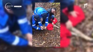 Căprioară ajuns pe străzile din Râmnicu Vâlcea, salvată de jandarmi