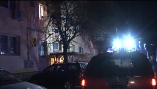 Alerte în serie în blocuri din Timișoara, după scandalul deratizării