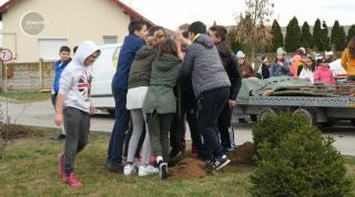 Copiii din Ciugud au plantat copaci, ca să protejeze mediul
