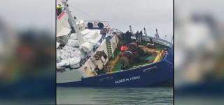 Risc epidemiologic, după ce un vas cu 15.000 de oi s-a răsturnat în portul Midia