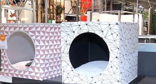 Mobilierul pentru câni și pisici, un moft sau o nevoie (Video)