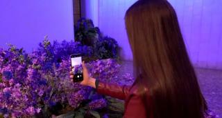 Pericolul ascuns al luminii telefoanelor. Lumina albastră afectează retina