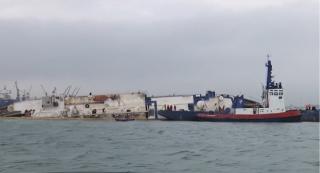 Exportul animalelor vii ar putea fi interzis, după moartea miilor de oi din Portul Midia