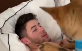 Priyanka Chopra, surpriză pentru soțul său, cu o ocazia aniversării căsniciei