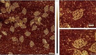 Cea mai mică hartă a României, de 150 de nanometri, realizată de cercetătorii bucureșteni