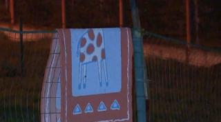 Copil de zece ani, dispărut de la orfelinatul din Mureş