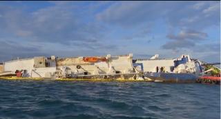 Românii vor interzicerea exportului de animale vii, după moartea oilor din Portul Midia