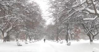 Peste jumătate din teritoriul Statelor Unite este paralizat de furtunile puternice de zăpadă