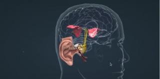 Elevii din România ar putea învăţa în sistem 3D