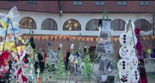 Brazi din materiale reciclabile, creaţia elevilor unor şcoli din Timişoara