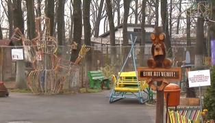 Porcii vietnamezi și mistreți de la grădina Zoologică din Brăila au fost sacrificați