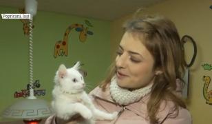 Pensiunile pentru animalele de companie sunt pline de sărbători