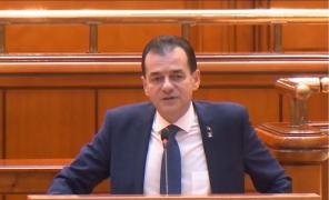 Guvernul Orban îşi asumă răspunderea pe Buget, plin de tăieri semnificative