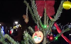 Parada Brăduţilor pentru Vise Împlinite, succes la Bistriţa