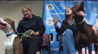 O şoferiţă de autobuz din Statele Unite a salvat doi câini de pe stradă