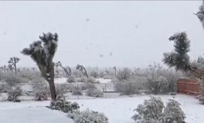 De Crăciun a nins în deşertul Californiei (Video)