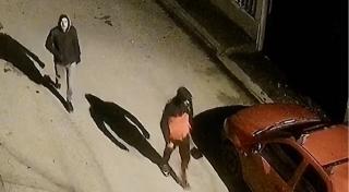 Hoții de cârnați au băgat spaima în locuitorii unui cartier din Mangalia