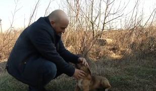 Vânători care au împușcat un câine pe proprietatea stăpânului, căutați de poliție în Dâmbovița