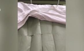 Condiții mizere reclamate de o mamă, la Secţia de Pediatrie a Spitalului Judeţean Constanţa